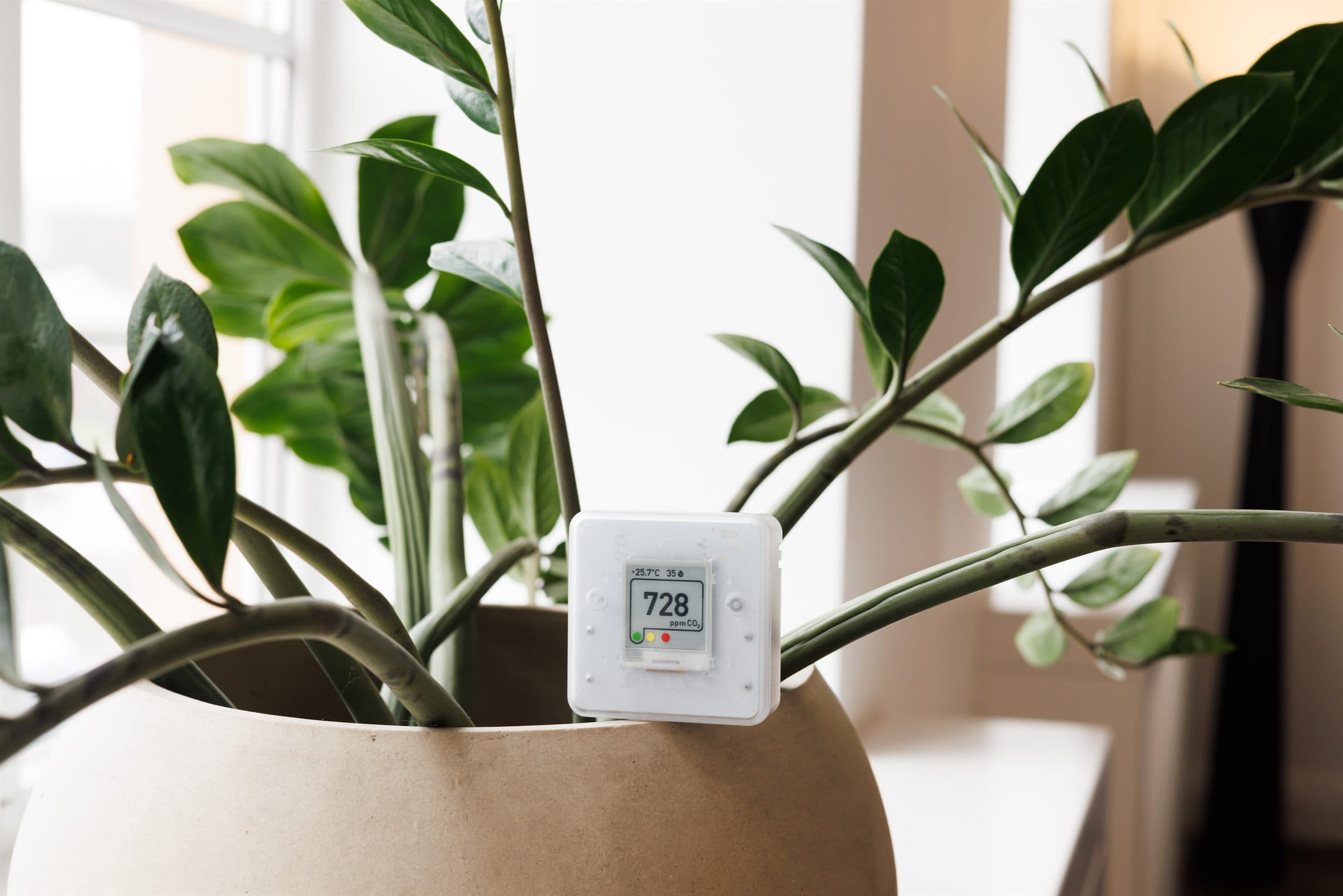 Indoor Air Quality Services — A small digital air-quality and humidity monitor on a shelf beside a potted houseplant in a bright living space (illustrative)